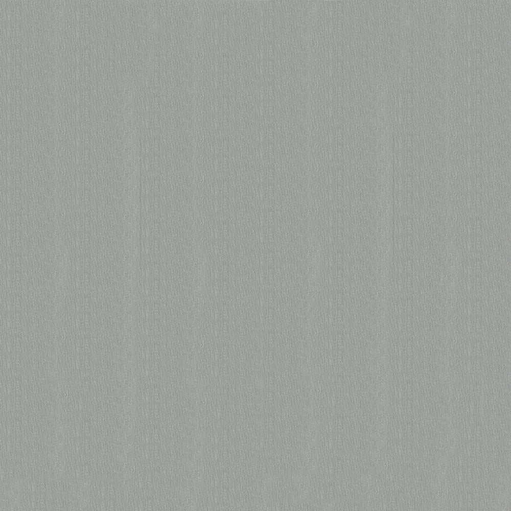 Brushed Aluminum 300 Silver