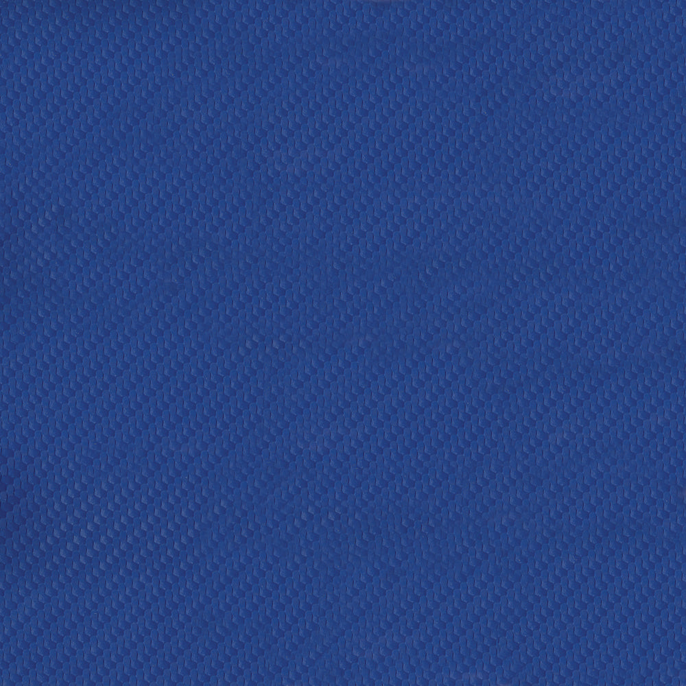 Carbon Fiber Q 500 Racy Blue