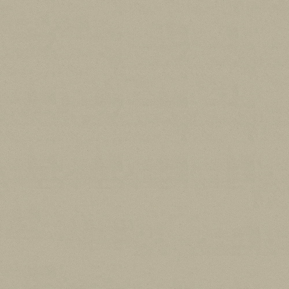 Odyssey 499/6006 Birch