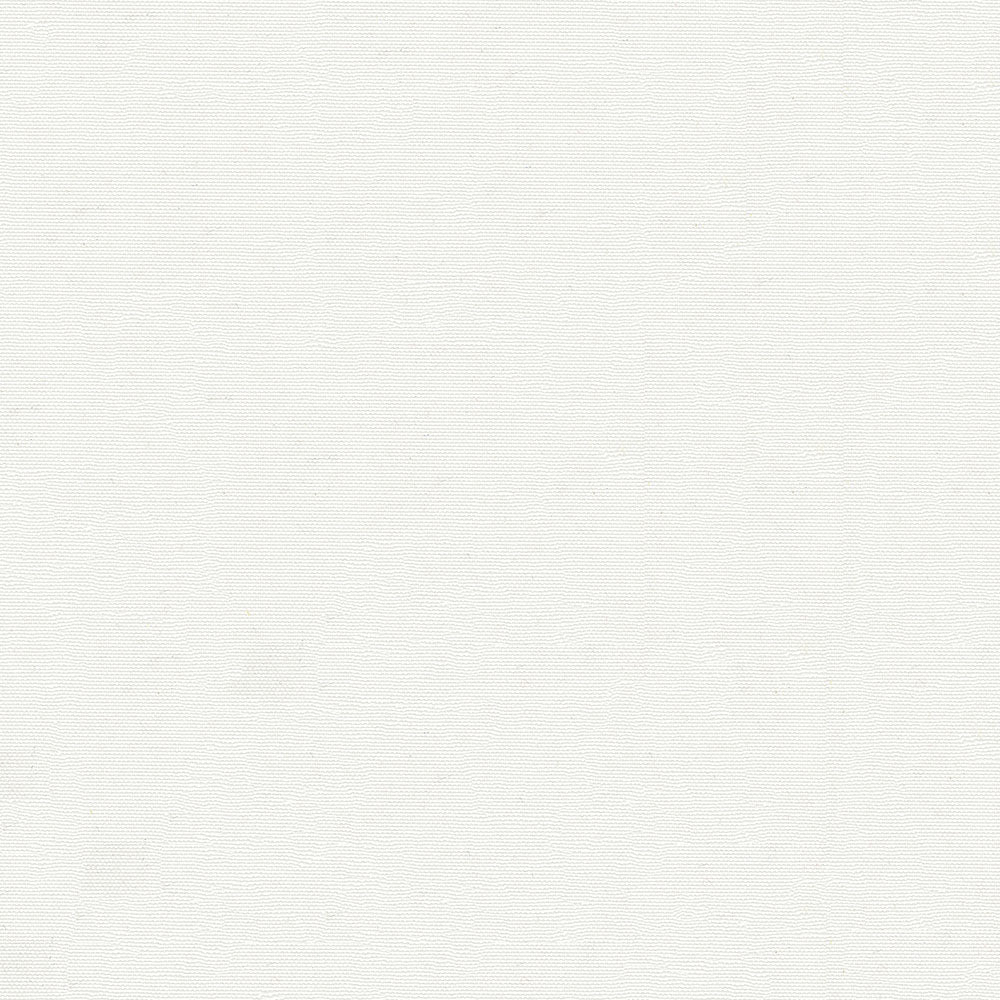 Odyssey 487/61 White