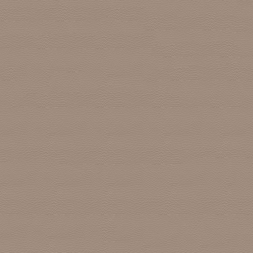 Pegasus 1616 Sand Dollar