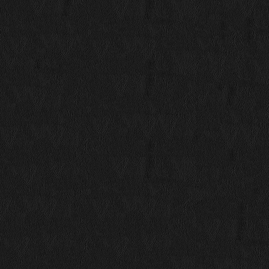 Blizzard Black 9009