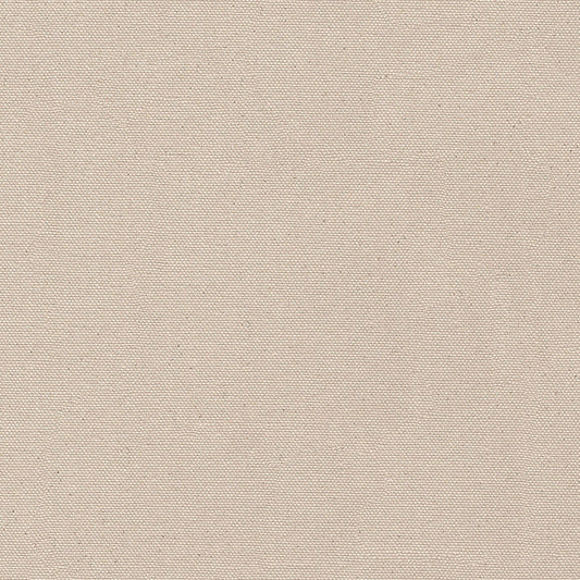 Canvas Untreated #6 Duck, 21oz, 60"