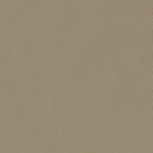 Decorative Accessories, Healthcare Seating, Hospitality Seating, Office Seating, Residential Seating