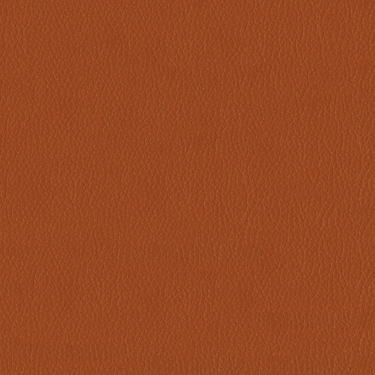 Decorative Accessories, Healthcare Seating, Hospitality Seating, Office Seating, Residential Seating